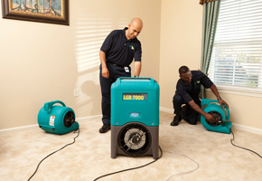 Cleaning a carpeted floor